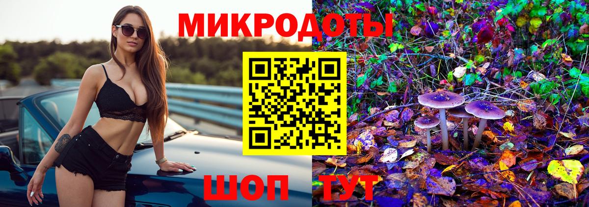 Псилоцибиновые грибы Psilocybe  Вход с VPN  Наро-Фоминск  Псилоцибиновые грибы GOLDEN TEACHER 